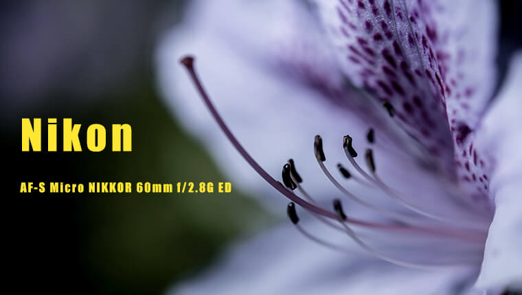 マクロレンズで花を撮る「AF-S Micro NIKKOR 60mm f/2.8G ED ...